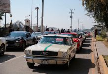Ford de México y 960 autos Mustang, entran al libro Guinness World Records